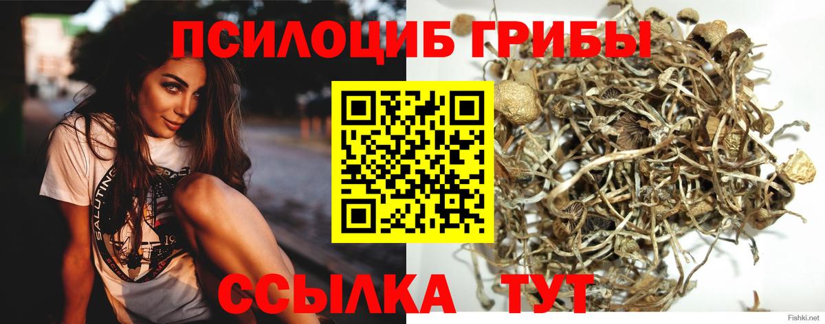 Верхний Уфалей  Псилоцибиновые грибы мицелий  Вход с VPN 