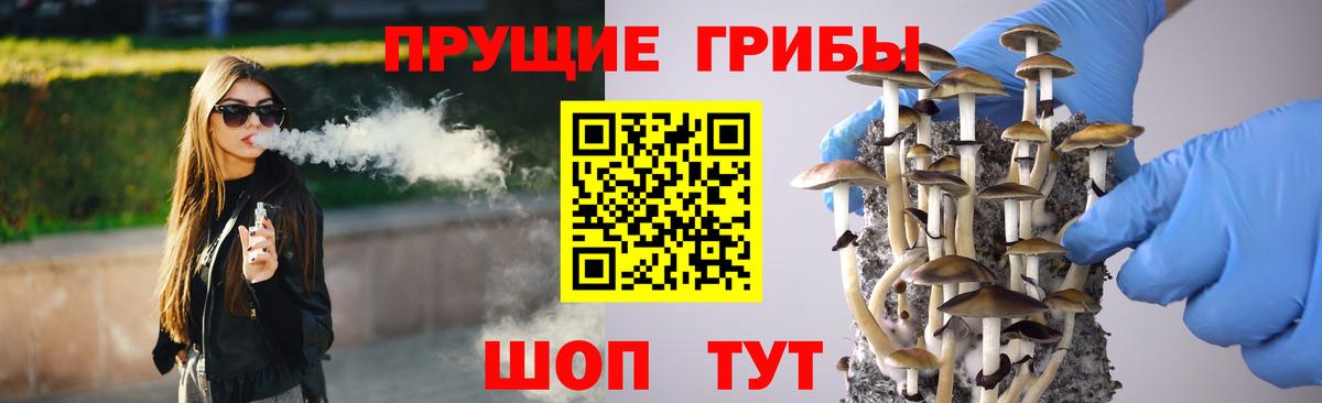 Галлюциногенные грибы Psilocybine cubensis Верхний Уфалей